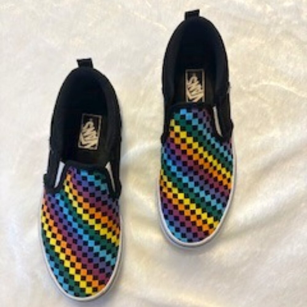Vans Asher Rainbow Mini Check Slip On Sneakers